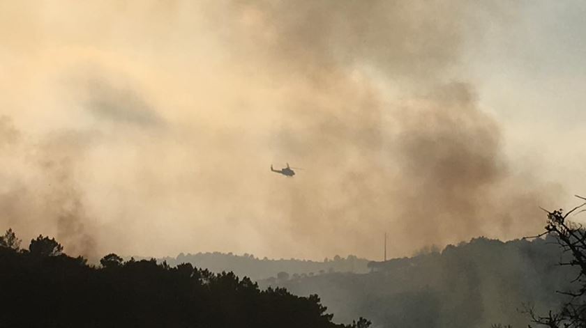 Incêndio em Aljezur. Foto: João Couto C. 