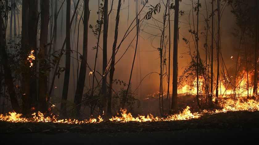 Incêndio continua activo em Vila Velha de Ródão. Foto: Joana Bourgard/RR