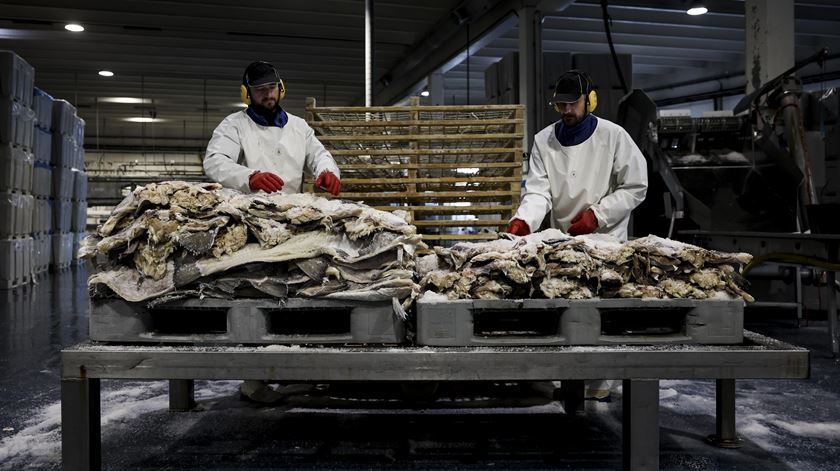 Conselho Norueguês dos Produtos do Mar vai investir até 800.000 euros em Portugal