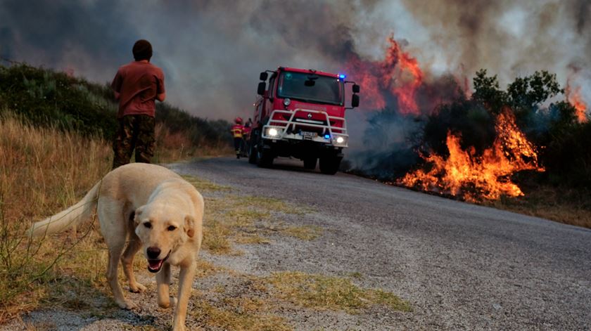 Foto: Nuno André Ferreira/Lusa