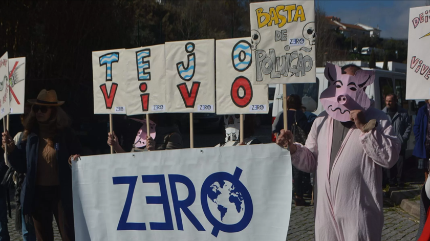 Associação ambientalista acusa Governo de reduzir ambição nas energias renováveis até 2030